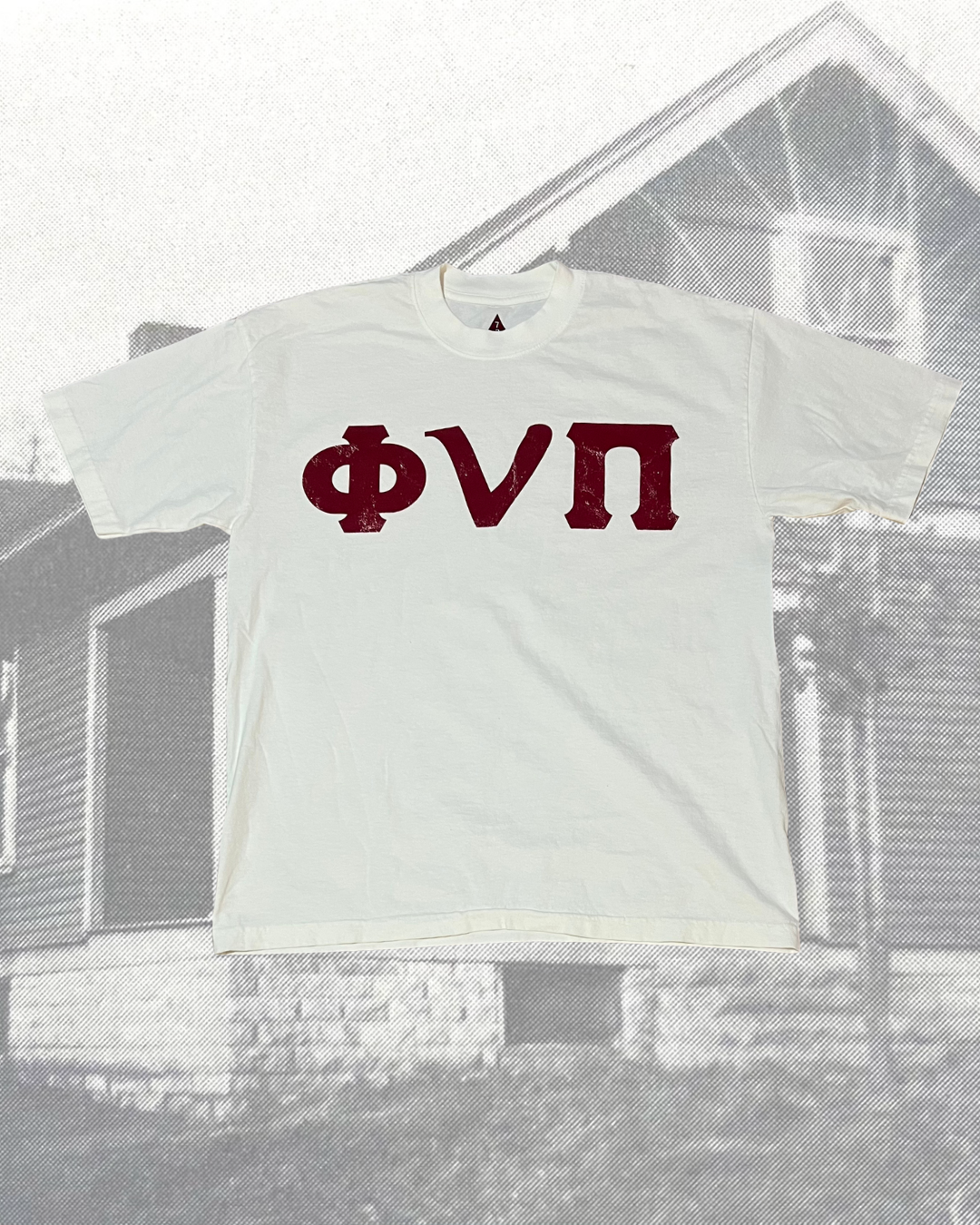 ΦνΠ Vintage Tee