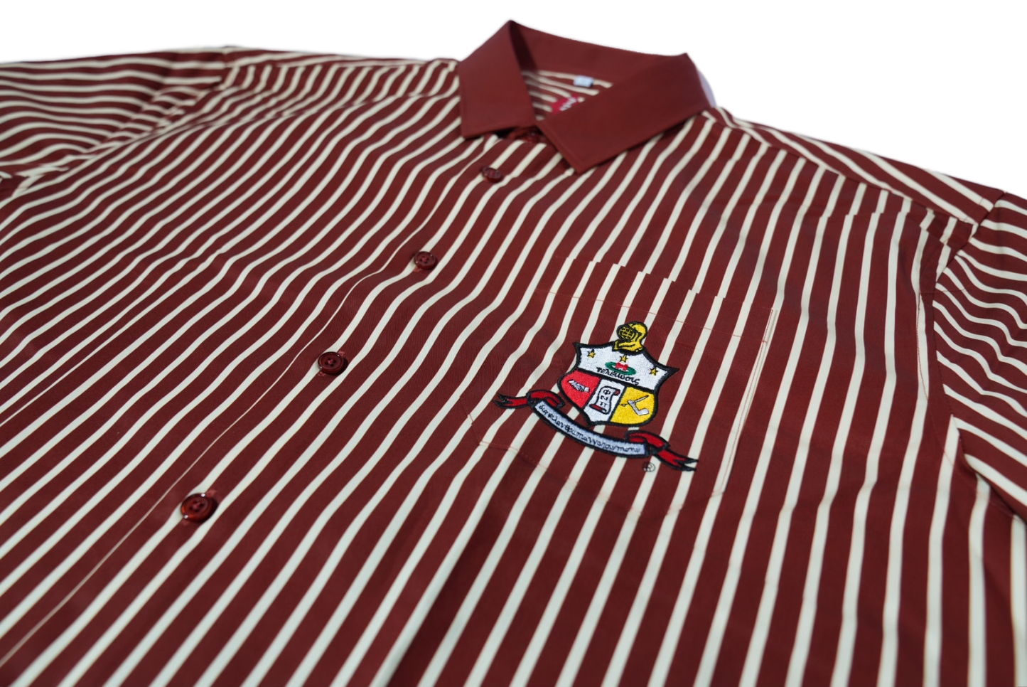 COA Striped Button Down