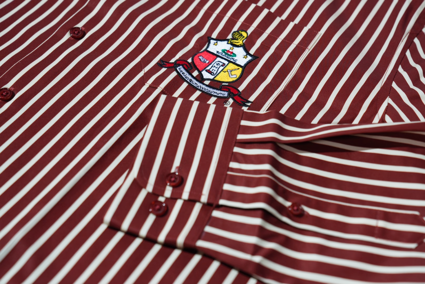 COA Striped Button Down